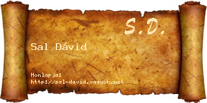 Sal Dávid névjegykártya
